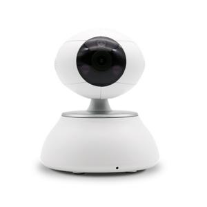 �o���z���^SRRC��̖�˜ʜyԇ